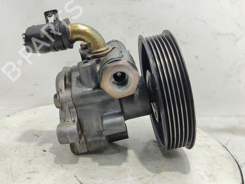 Used Steering pump SEAT CORDOBA (6K2) 1.4 (60 hp) 19312427
