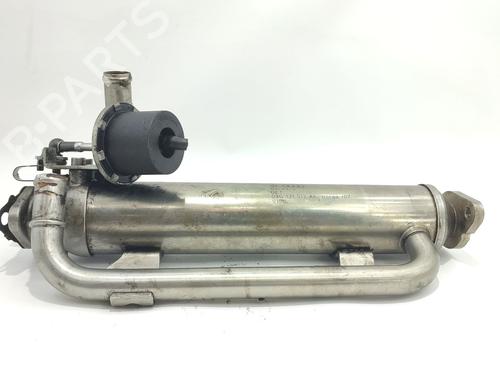 Used Egr Egr 36645546 36645546