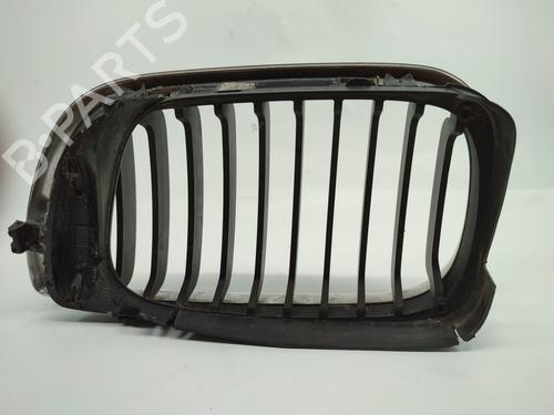 Grille BMW 3 (E46) 320 d | BP16030342C40 