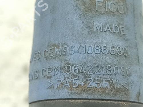 Sprinklervæskepumpe CITROËN C4 Picasso I MPV (UD_) 2.0 HDi 138 | BP30686385E24