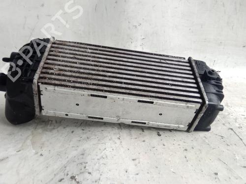 Intercooler CITROËN C4 Picasso I MPV (UD_) 2.0 HDi 138 | BP30685995M30