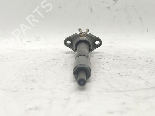 Injector BMW 3 (E46) 320 d | BP30053770M100 
