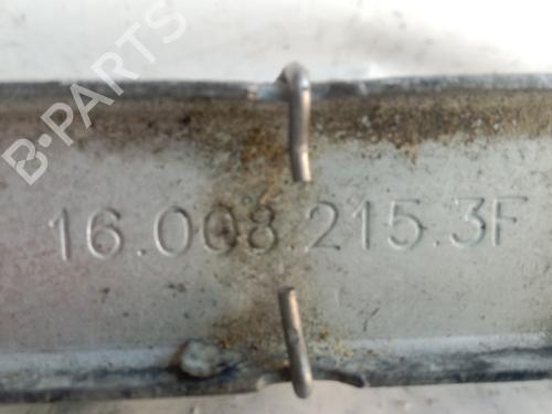 Intercooler RENAULT AVANTIME (DE0_) 2.2 dCi (DE01) | BP28211430M30 