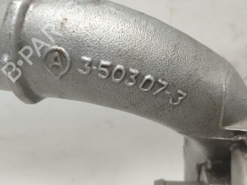 Turbocharger/Supercharger RENAULT MEGANE II (BM0/1_, CM0/1_) 1.9 dCi (BM0G, CM0G) | BP17319769M71 