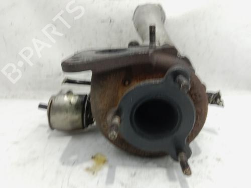 Turbocharger/Supercharger RENAULT MEGANE II (BM0/1_, CM0/1_) 1.9 dCi (BM0G, CM0G) | BP25038688M71 