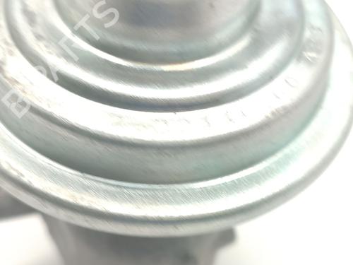  - Image 6