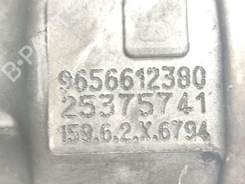 Egr PEUGEOT 307 SW (3H) 2.0 HDi 135 | BP29361127M69 