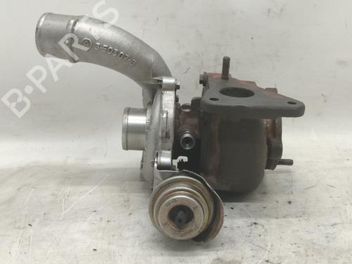 Turbocharger/Supercharger RENAULT MEGANE II (BM0/1_, CM0/1_) 1.9 dCi (BM0G, CM0G) | BP17319769M71 