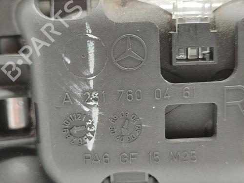 Rear right interior door handle MERCEDES-BENZ R-CLASS (W251, V251)  | BP16553600I16 