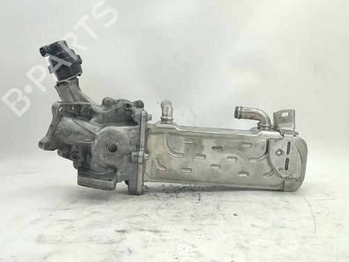 Egr MERCEDES-BENZ E-CLASS (W212) E 200 CDI / BlueTEC (212.005, 212.006) | BP30686310M69 