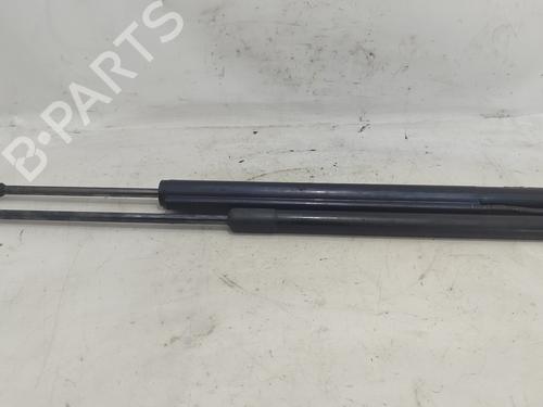 Tailgate lift support OPEL INSIGNIA A Sports Tourer (G09)  | BP19308052C138 