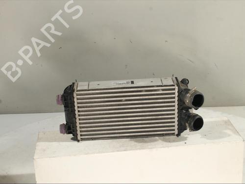 Intercooler PEUGEOT 208 II (UB_, UP_, UW_, UJ_) 1.2 PureTech 100 | BP27669105M30 