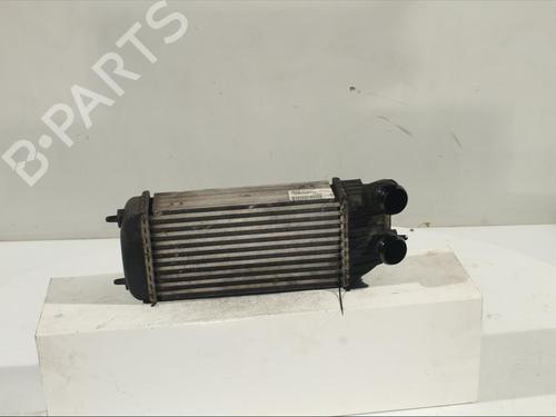 Intercooler FIAT SCUDO Bus (270_, 272_) 2.0 D Multijet | BP12265639M30 