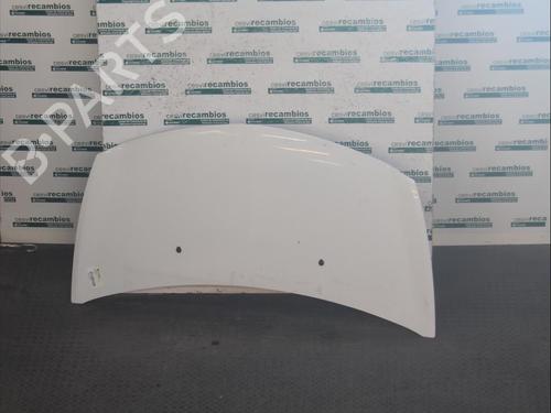 Used Hood RENAULT CLIO III (BR0/1, CR0/1) 1.5 dCi (88 hp) 12075218