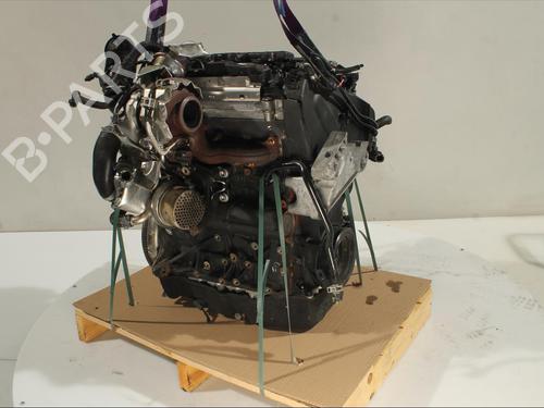 Engine AUDI Q3 Sportback (F3N) 35 TDI | BP27604458M1 