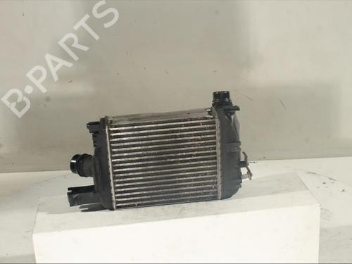 Intercooler RENAULT CAPTUR I (J5_, H5_) 1.2 TCe 120 | BP20221837M30