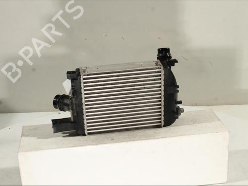 Intercooler DACIA DUSTER (HM_) 1.3 TCe 130 (HMMF) | BP23217200M30 - Image 2