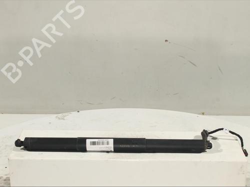 Used Tailgate lift support Tailgate lift support AUDI A5 Sportback (F5A, F5F) 2.0 TDI (190 hp) 14525813 14525813