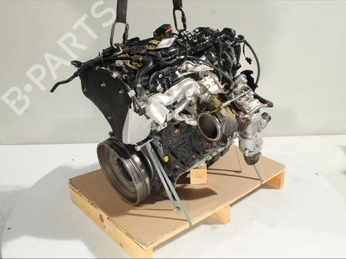 Engine AUDI A5 Sportback (F5A, F5F) 40 TFSI Mild Hybrid | BP26018123M1 