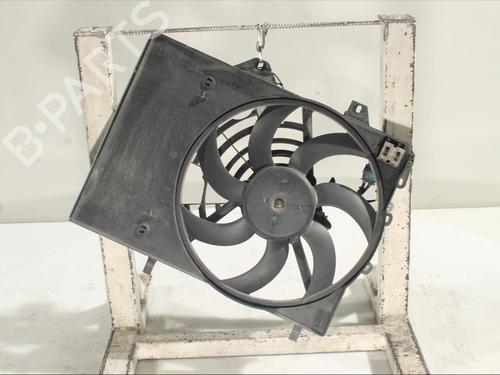 Used Radiator fan Radiator fan CITROËN C3 III (SX) 1.6 BlueHDi 75 (75 hp) 25044910 25044910