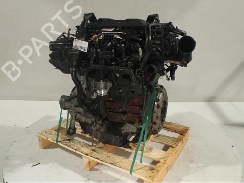 Engine FORD MONDEO IV (BA7)  | BP13538696M1 