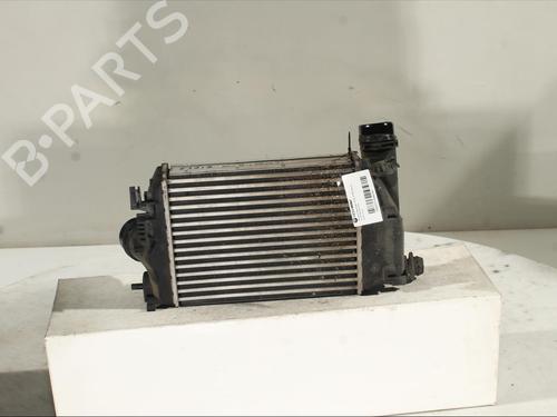 Intercooler NISSAN QASHQAI II SUV (J11, J11_) 1.2 DIG-T | BP24151927M30 