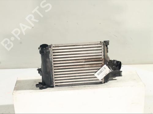 Used Intercooler Intercooler DACIA SANDERO II TCe 90 (B8M1, B8MA, B8AC) (90 hp) 24948092 24948092