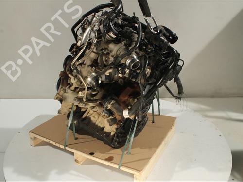 Engine FORD RANGER (TKE) 3.2 TDCi 4x4 | BP33445010M1 - Image 4