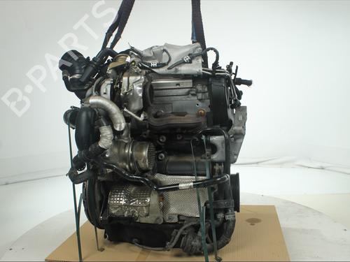 Engine VW TIGUAN (5N_) 2.0 TDI | BP36028303M1 - Image 4