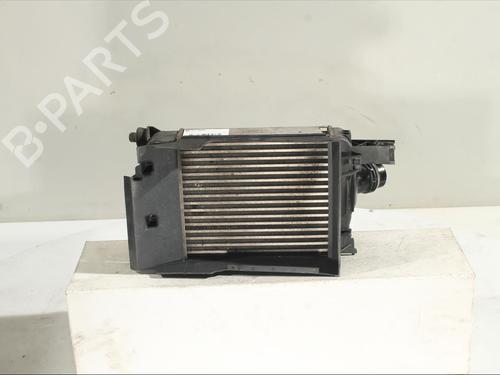 Intercooler DACIA DUSTER (HS_) 1.5 dCi | BP25865013M30 