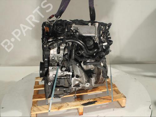 Engine AUDI A4 Allroad B9 (8WH, 8WJ)  | BP18233751M1 