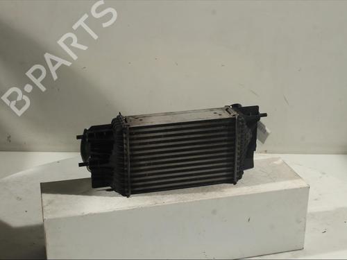 Intercooler NISSAN PULSAR Hatchback (C13) 1.5 dCi | BP15184025M30 