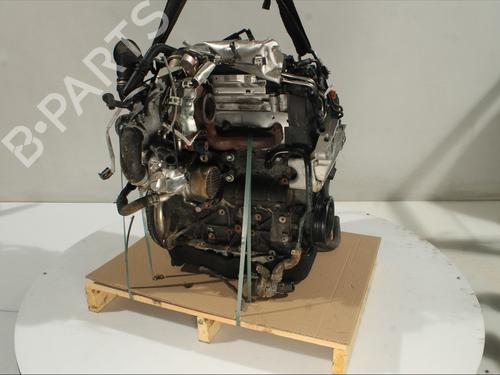 Engine VW TIGUAN (AD1, AX1) 2.0 TDI | BP32333405M1