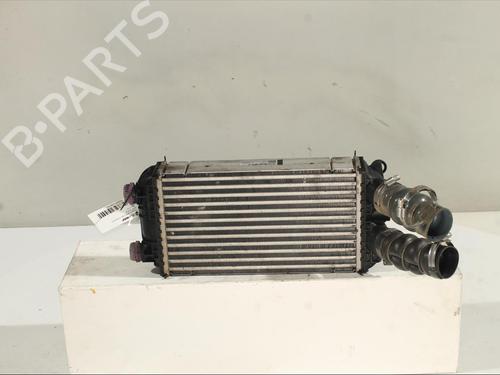 Used Intercooler Intercooler PEUGEOT 2008 II (UD_, US_, UY_, UJ_, UR_, UC_) 1.2 PureTech 130 (USHNS, URHNS) (130 hp) 27625158 27625158