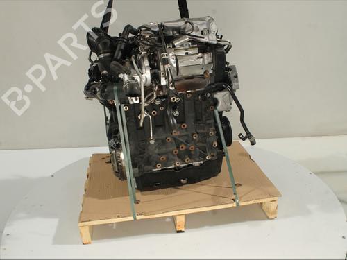 Used Engine SEAT IBIZA V (KJ1, KJG) 1.6 TDI (95 hp) 29419959