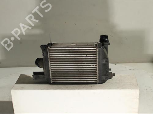 Intercooler DACIA LODGY (JS_) 1.5 dCi | BP23558892M30 