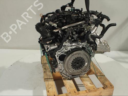 Motor RENAULT CLIO V (B7_)  | BP12124304M1 