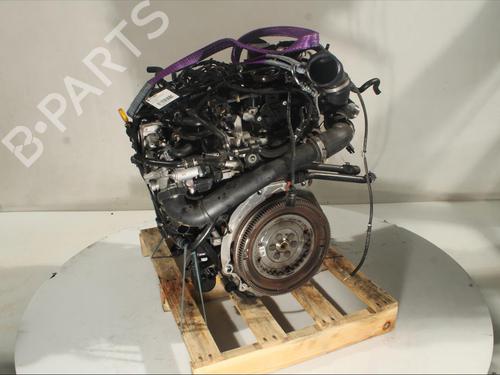 Engine AUDI A3 (8V1, 8VK) 1.6 TDI | BP27604455M1 