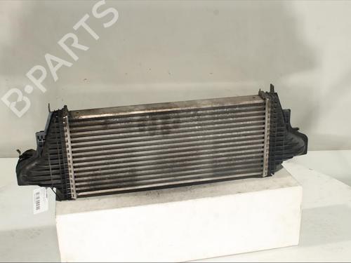 Intercooler MERCEDES-BENZ M-CLASS (W164) ML 320 CDI 4-matic (164.122) | BP16638872M30 