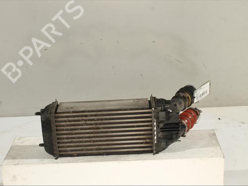 Intercooler CITROËN C3 II (SC_) 1.6 HDi | BP29173516M30 