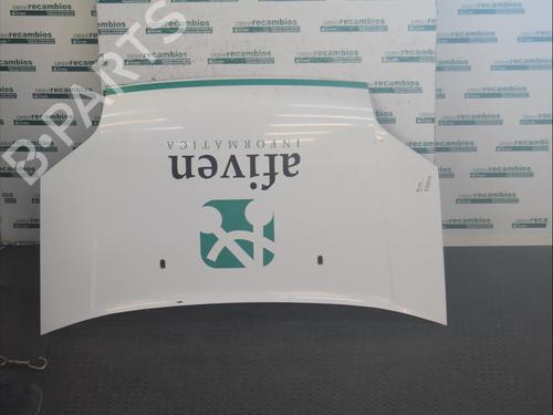 Used Hood FORD TOURNEO CONNECT [2002-2013]  12075002
