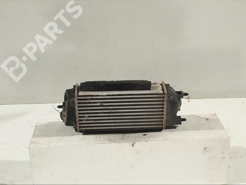 Ladeluftkühler FORD B-MAX (JK) [2012-2024]  11983378