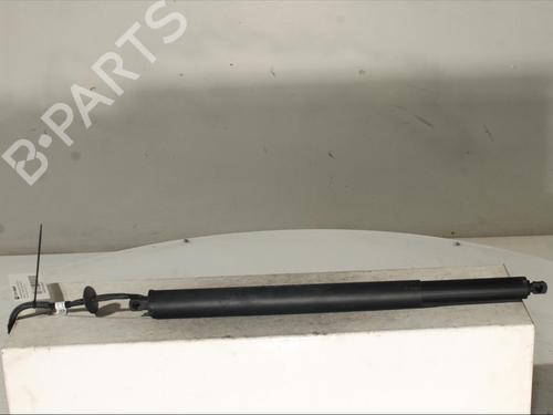 Gassdemper Bakluke RENAULT AUSTRAL TCe 130 (HGM2) (131 hp) 24541742