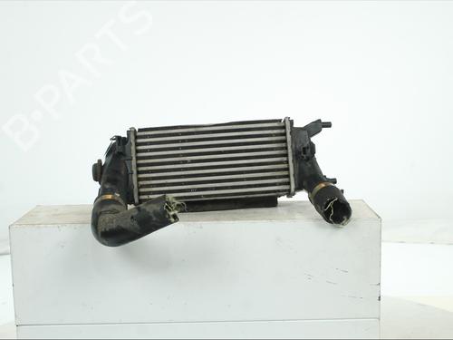 Intercooler Intercooler FORD FIESTA VII (HJ, HF) 1.0 EcoBoost (101 hp) 39699192 39699192
