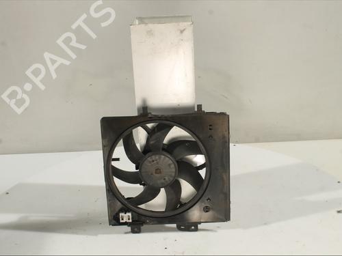 Used Radiator set PEUGEOT 207 (WA_, WC_) 1.4 (73 hp) 30265995