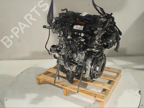 Engine KIA SPORTAGE V (NQ5)  | BP20701979M1 