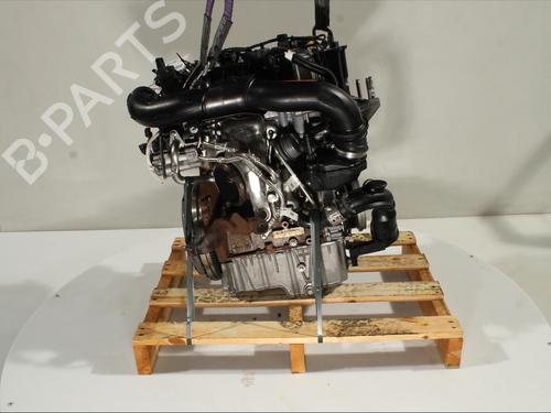 Used Engine FORD FIESTA VII (HJ, HF) [2017-2025]  22719157