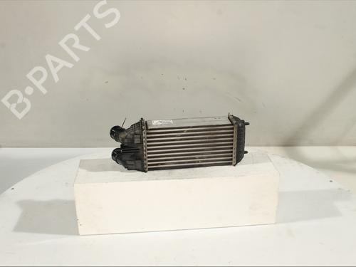 Intercooler DS DS 3 (SA_) 1.6 BlueHDi 100 (SABHY0, SABHYT) | BP32511698M30