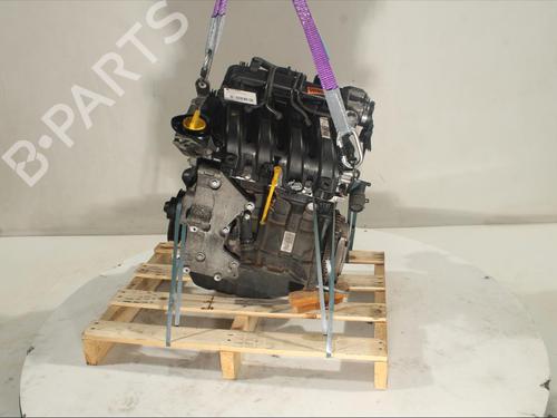 Motor RENAULT CLIO III (BR0/1, CR0/1) 1.2 16V (BR02, BR0J, BR11, CR02, CR0J, CR11) (75 hp) 19071443