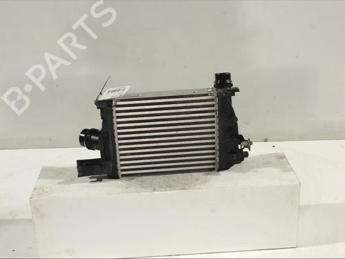 Intercooler DACIA SANDERO II TCe 90 (B8M1, B8MA, B8AC) | BP11908248M30 